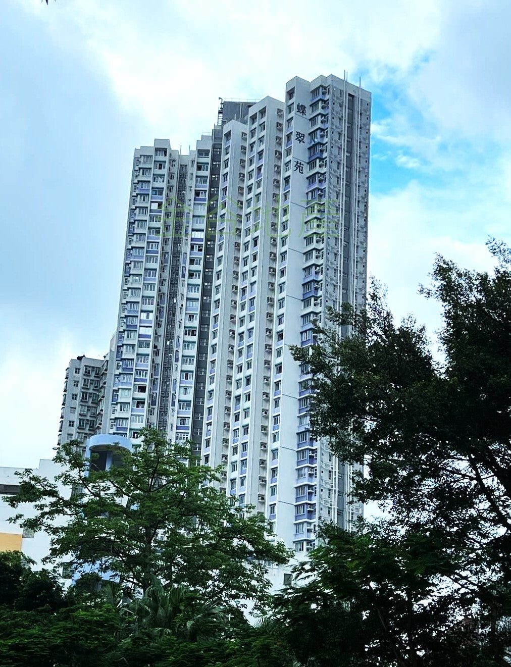 蝶翠苑售290萬(未補)