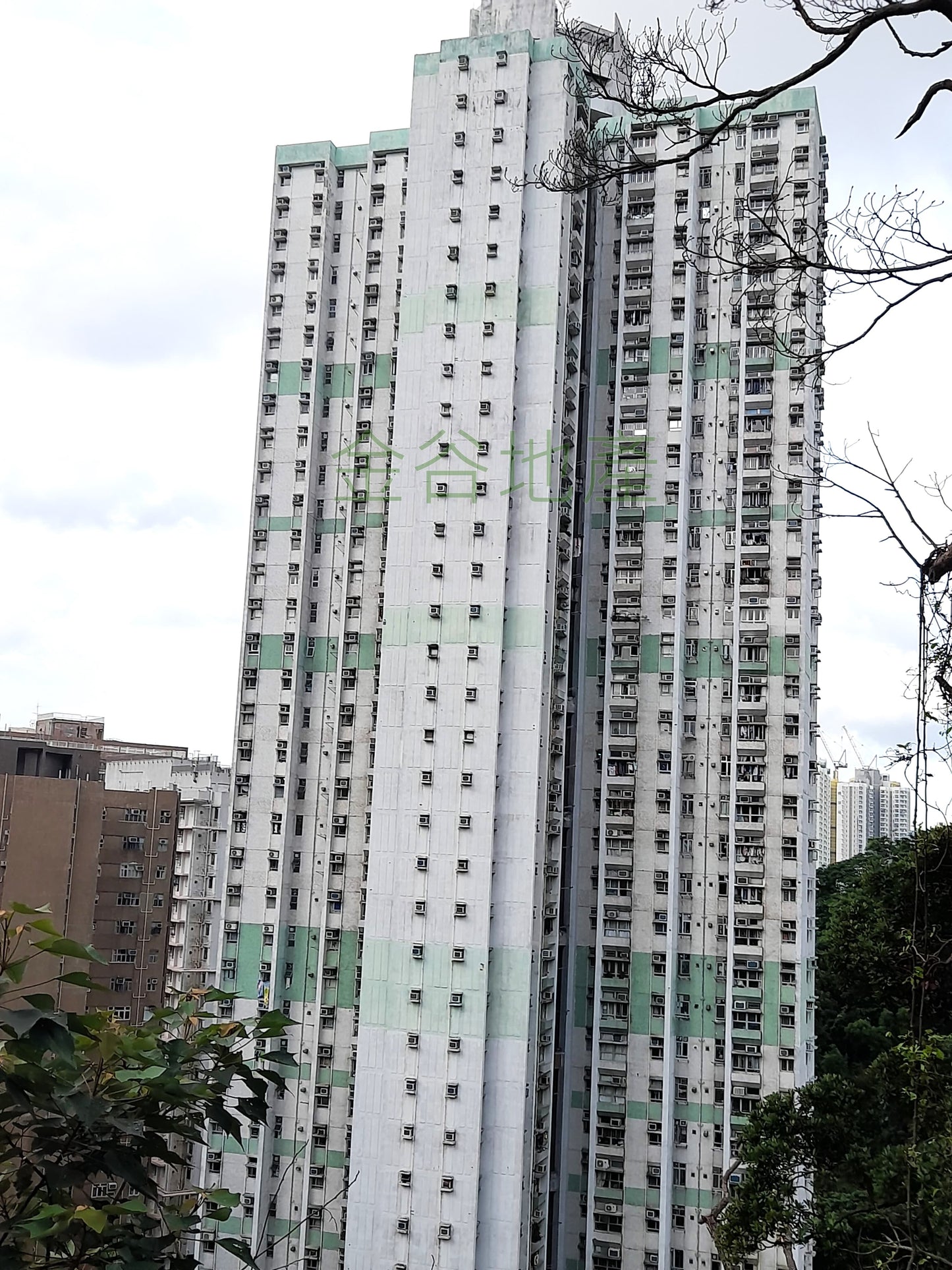 悅翠苑售500萬(綠表)(減價)