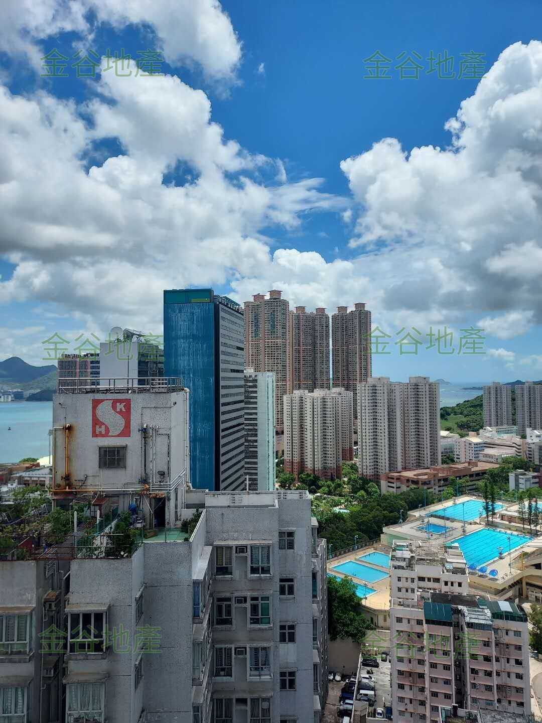 蝶翠苑售295萬(綠表)