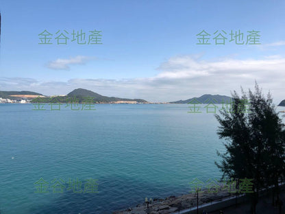 杏花邨第40座售1060萬