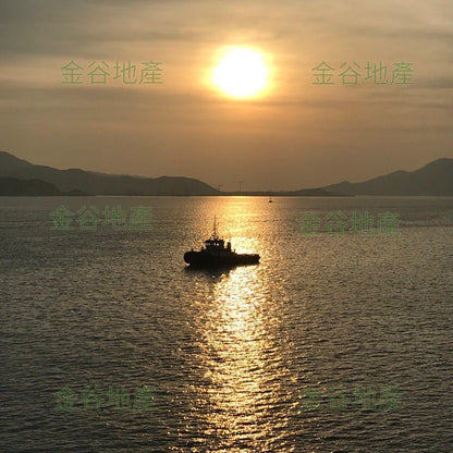 杏花邨第40座售1060萬