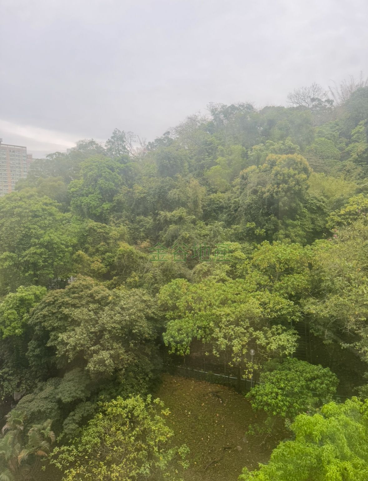 悅翠苑售538萬(綠表)